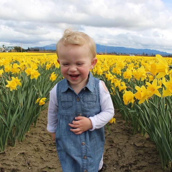 Meet your Posher, Charlie - Picture 1 of 1